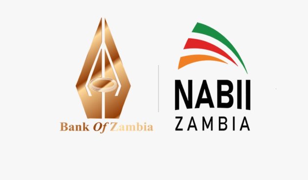 logo_boz_and_nabii