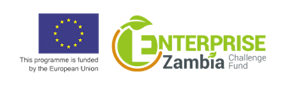 Enterprise Zambia Challenge